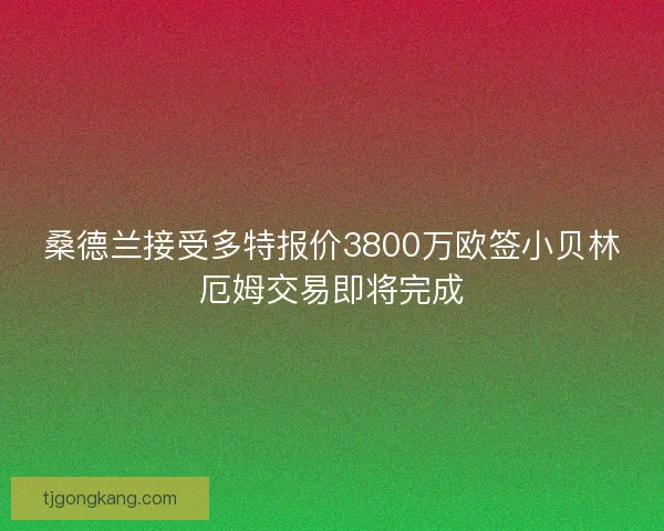 桑德兰接受多特报价3800万欧签小贝林厄姆交易即将完成
