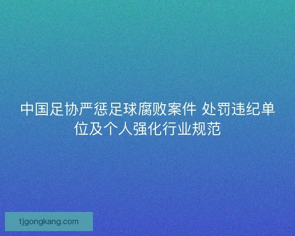 中国足协严惩足球腐败案件 处罚违纪单位及个人强化行业规范
