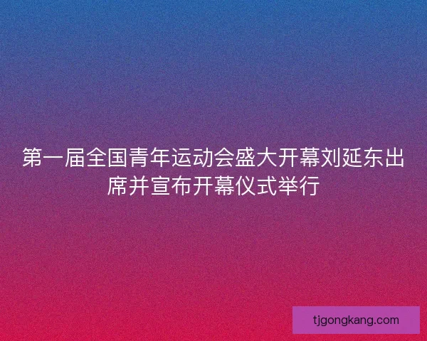 第一届全国青年运动会盛大开幕刘延东出席并宣布开幕仪式举行