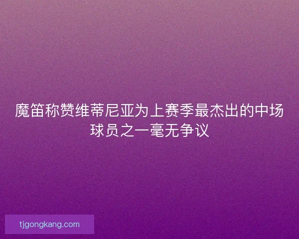 魔笛称赞维蒂尼亚为上赛季最杰出的中场球员之一毫无争议 魔笛称赞维蒂尼亚为上赛季最杰出的中场球员之一毫无争议