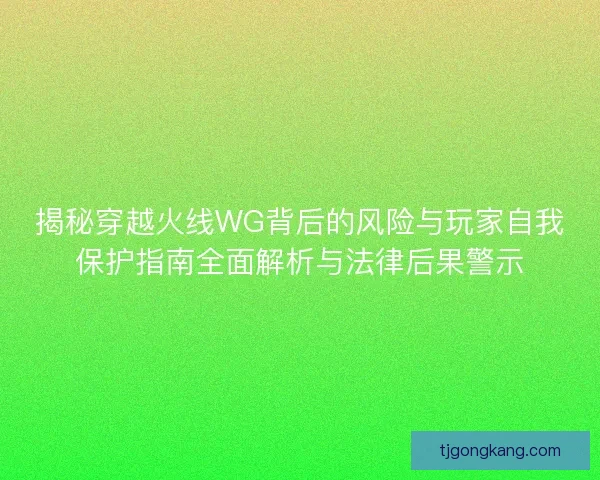 揭秘穿越火线WG背后的风险与玩家自我保护指南全面解析与法律后果警示